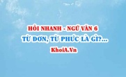 Từ đơn là gì, từ phức (từ ghép, từ láy) là gì? lấy ví dụ? Ngữ Văn lớp 6